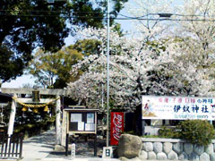伊奴神社