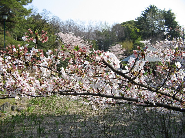 鶴舞公園