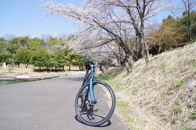 春のポタリング