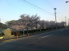 20120409a