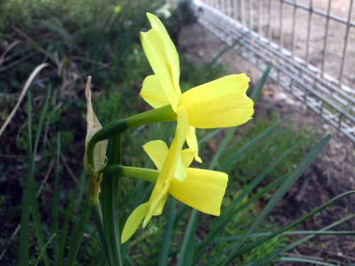 秘密の花園2014