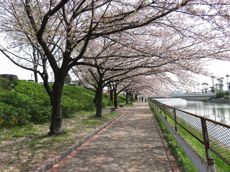 荒子川公園