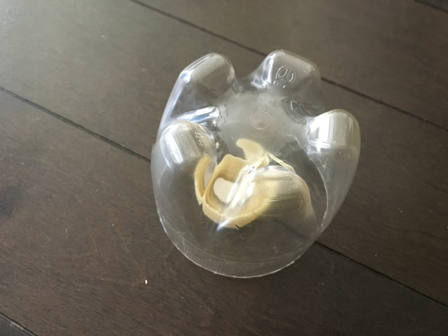 鳩対策