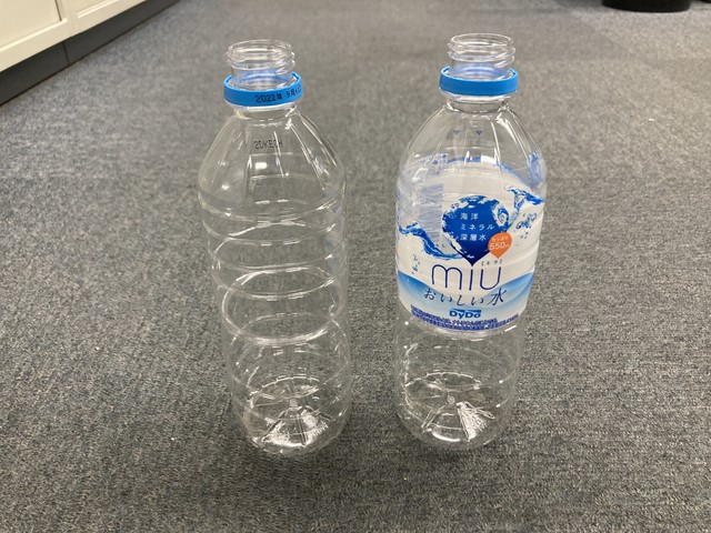 ペットボトルで水耕栽培