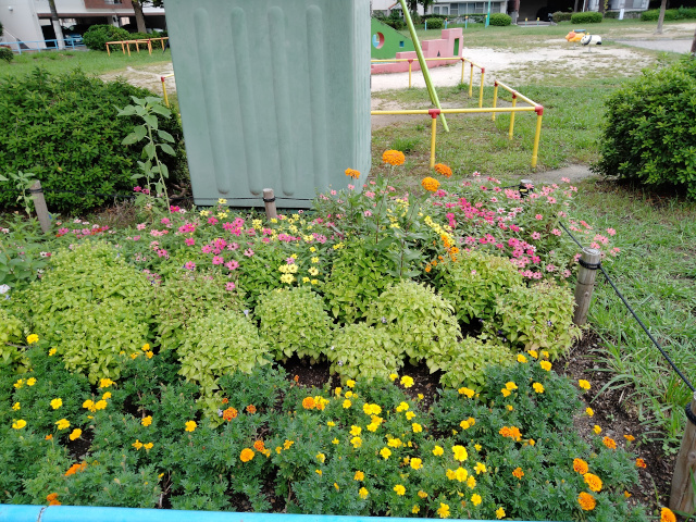 最後の夏花壇